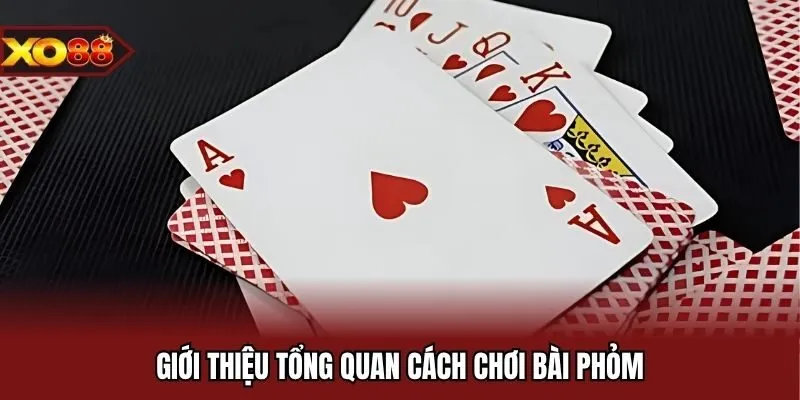 Giới thiệu tổng quan cách chơi bài phỏm
