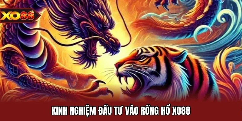 Kinh nghiệm đầu tư vào rồng hổ XO88