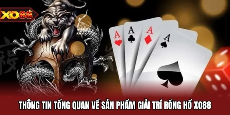 Thông tin tổng quan về sản phẩm giải trí rồng hổ XO88